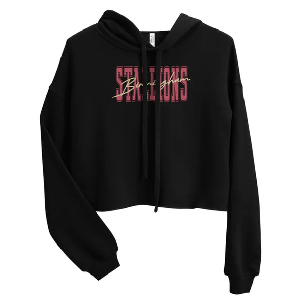 Birmingham Stallions Black Hoodie